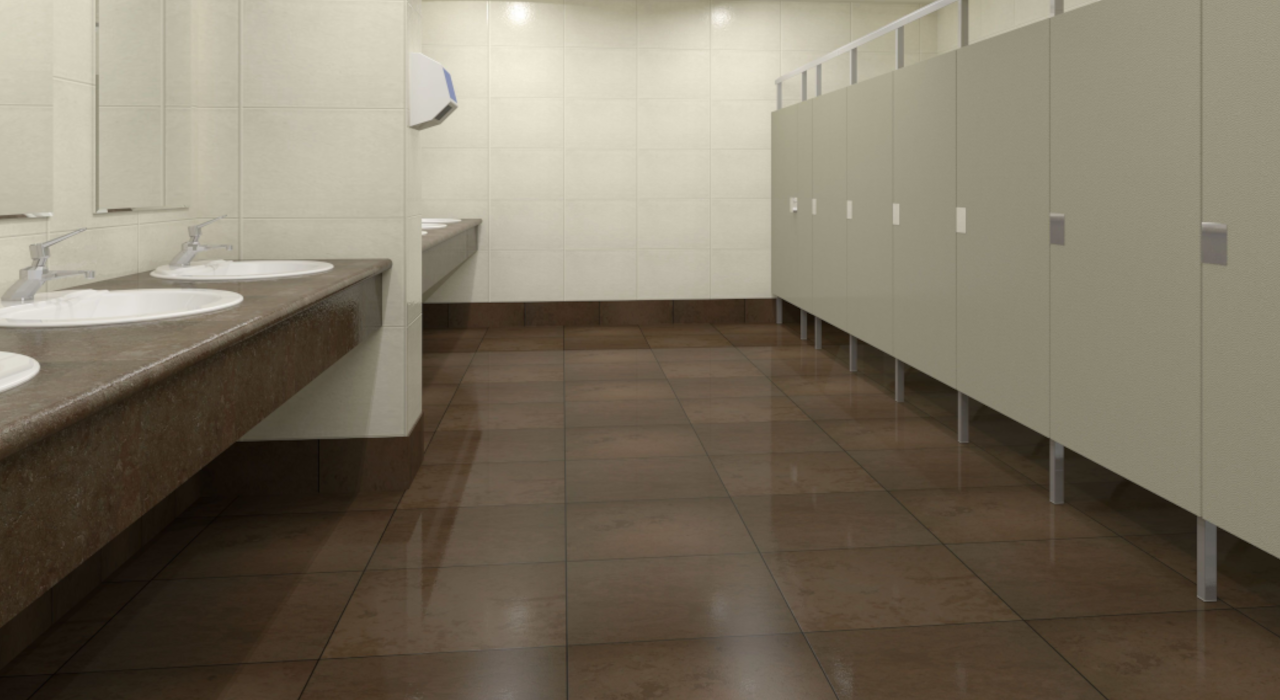 Public Washroom 4.png