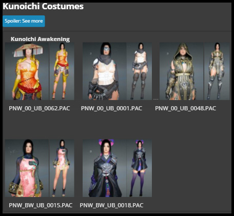 topic_kunoichi_costumes.jpg